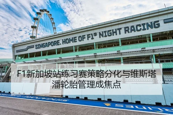 F1新加坡站练习赛策略分化与维斯塔潘轮胎管理成焦点