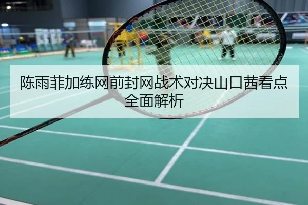 陈雨菲加练网前封网战术对决山口茜看点全面解析